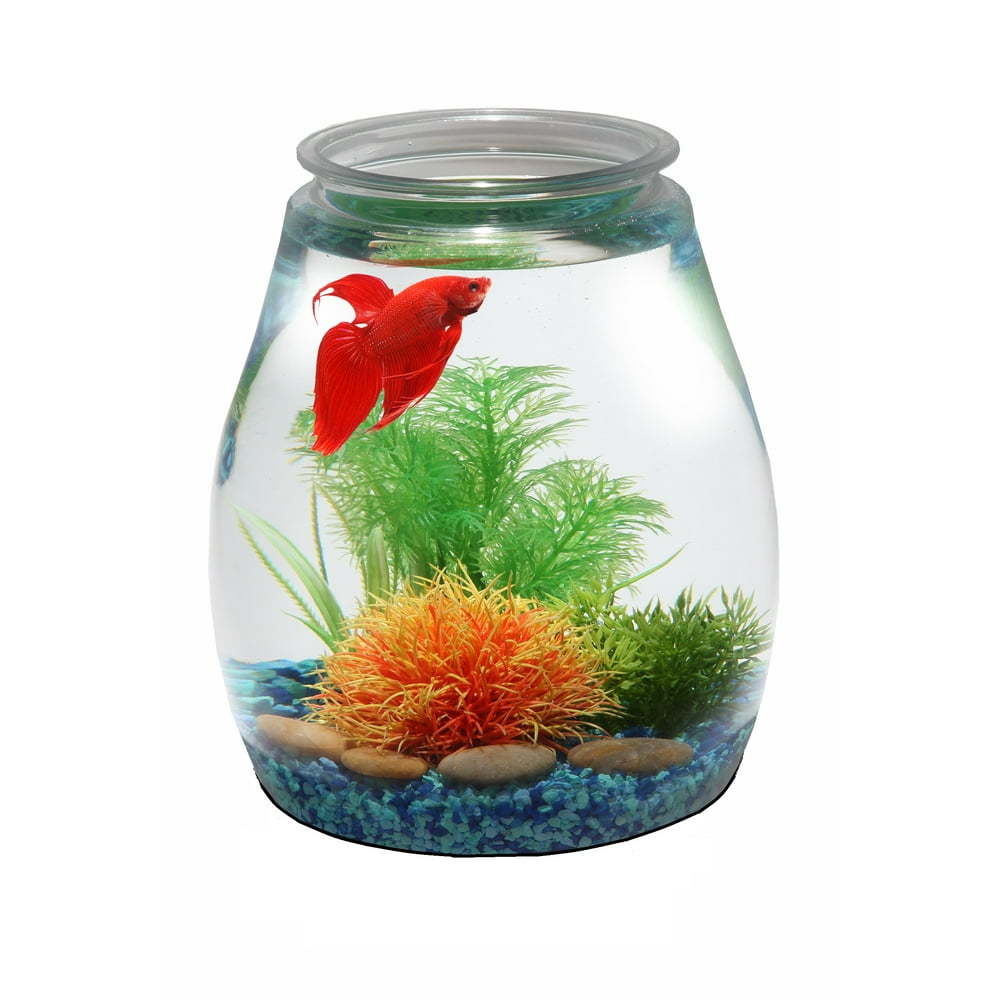 Hawkeye 2Gallon Fish Bowl