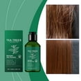 Teissuly 100ml Hair Care Nutritious Moisturizing Improving Frizz