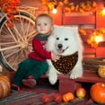 thumbnail image 3 of Fall Halloween Dog Bandanas Reversible 2 Pack Small, Black Pumpkin Ghost Spider Web Cute Halloween Pet Bandanas for Dogs Adjustable Triangle Holiday Scarves for Small Medium Boy Girl Dogs, 3 of 6