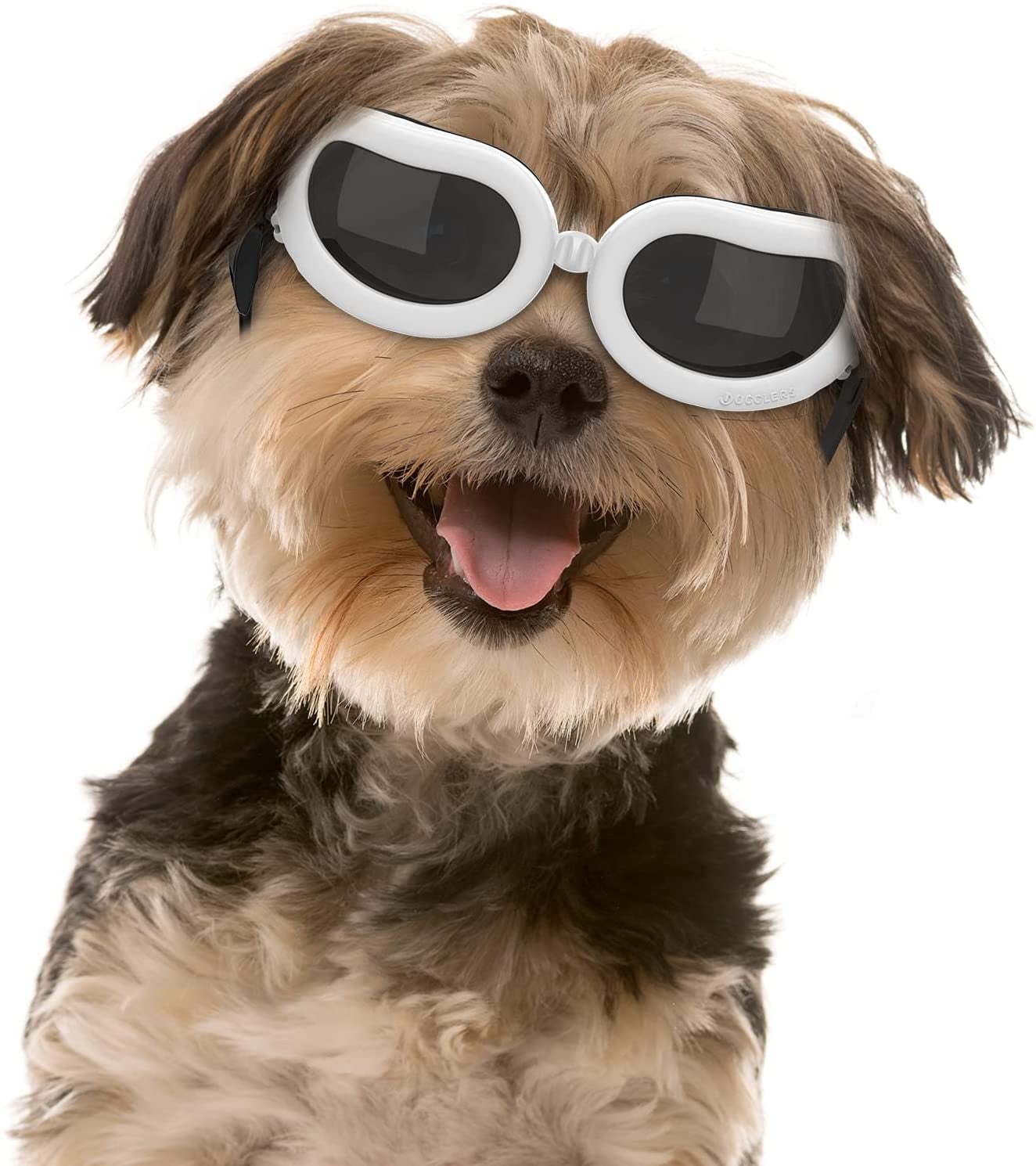 Small dog sunglasses Clearance