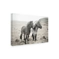 thumbnail image 2 of Trademark Fine Art 'Bjarni and Imir I BW' Canvas Art by Laura Marshall, 2 of 3