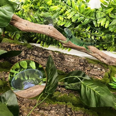 Reptile Branches for Climbing Bearded Dragon Branch Natural Non-Slip Habitat Decorations Decor