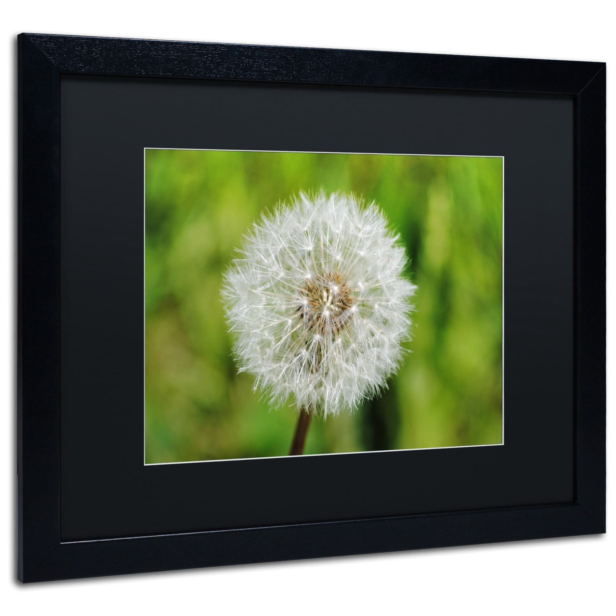 Trademark Fine Art "Make a Wish" Canvas Art by Monica Mize, Black Matte, Black Frame