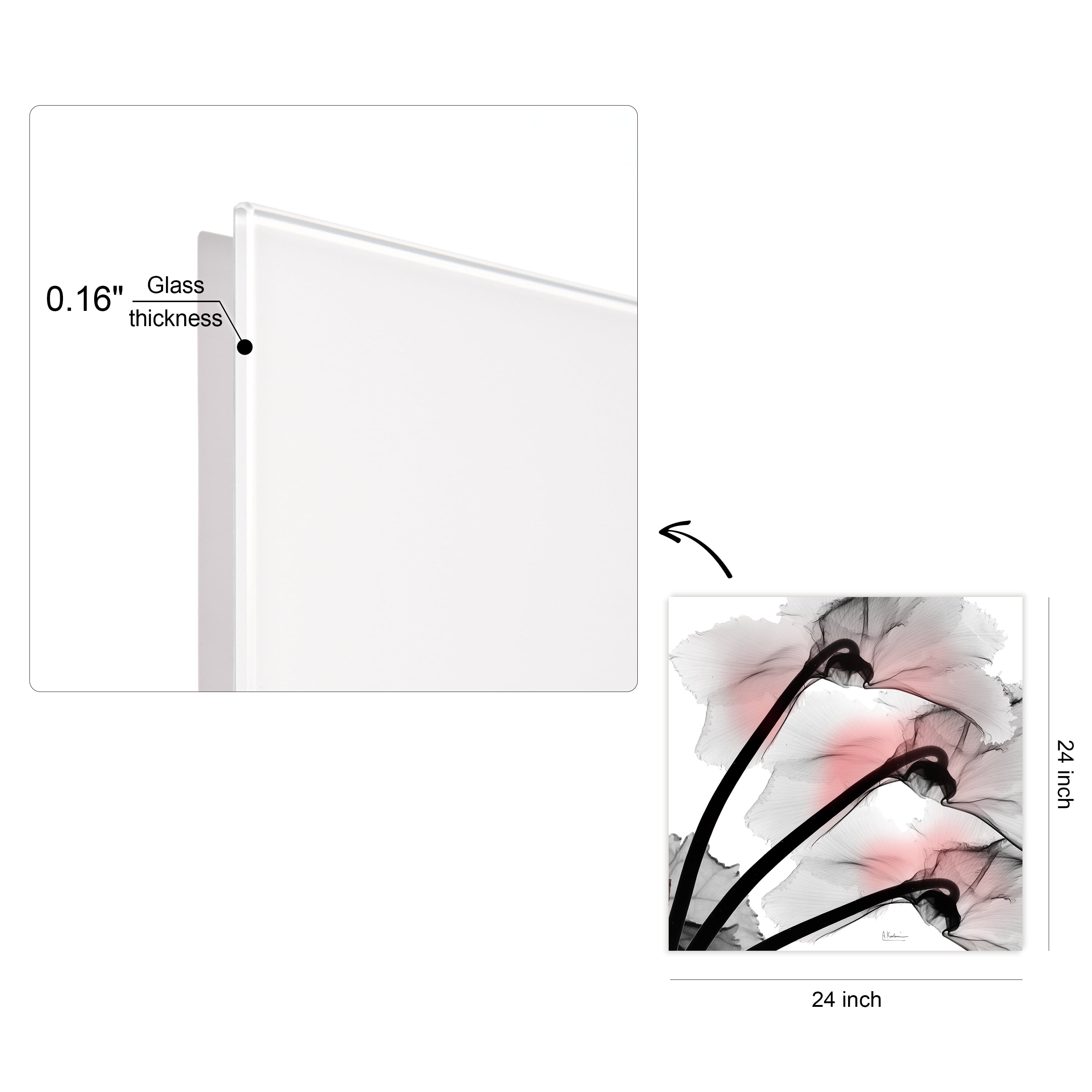Coral Luster Clycamen 2 Frameless Free Floating 24 in x 24 in Painting Art Prints, by Empire Art