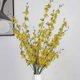thumbnail image 3 of Orquídea de Baile del Pavo Real Amarilla: Decoración Zen para Hogar con Maceta de Plástico, Ideal para Ambientes Tranquilos y Elegantes., 3 of 6