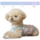 thumbnail image 2 of Vestido para perros pequeños, transpirable, bonito vestido de tutú para cachorros, bonito vestido de princesa para gatas, atuendo de verano con mariposas para perros taza de té, yorkshire, 2 of 7