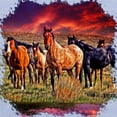 thumbnail image 3 of CafePress - Sunset Horses Toddler T Shirt - Cute Toddler T-Shirt, 100% Cotton, 3 of 4