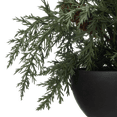 thumbnail image 3 of Bouclair plante artificial, 3 of 6