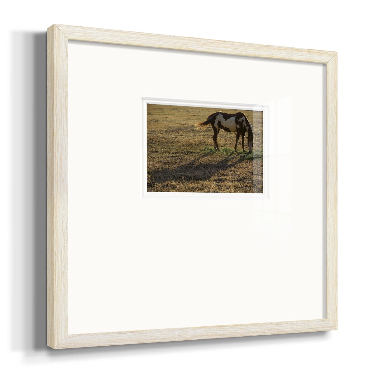 Long ShadowPremium Framed Print