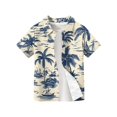 thumbnail image 4 of Abcomgle Boys Hawaiian Shirt Size 10-12 Button Down Short Sleeve Tropical Shirts for Boys Summer Palm Tree Print Tourist Hawaiian Clothes for Boys,Royal Blue,10-11Years, 4 of 5