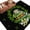 Black, variant on Area Rug for Living Room, St Patrick's Day Non-Slip Indoor Large Carpet for Bedroom/Dining Room, Shamrock Leaf Coffee Cups Books Dark Green Washable Low-Profile Rectangle Floor Runner Rugs - 5 x 7 Ft
