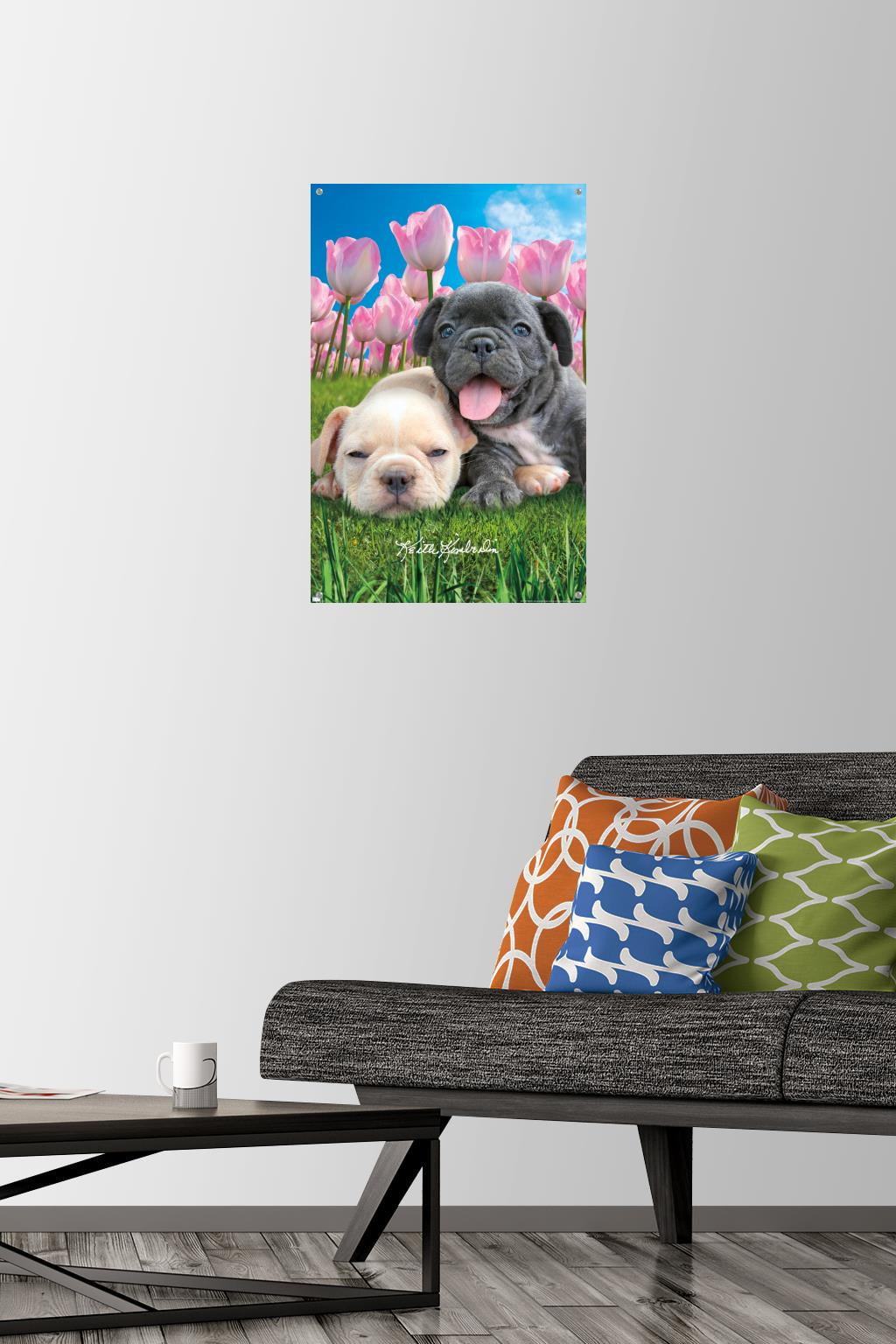 Keith Kimberlin - Bulldog Puppies Wall Poster with Pushpins, 14.725" x 22.375"