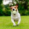thumbnail image 1 of Pelota para perro, pelota de goma para perro, (1 punto verde), pelota para perro indestructible, juguete de goma dura para masticar, dientes limpios, juego, entrenamiento, 1 of 5