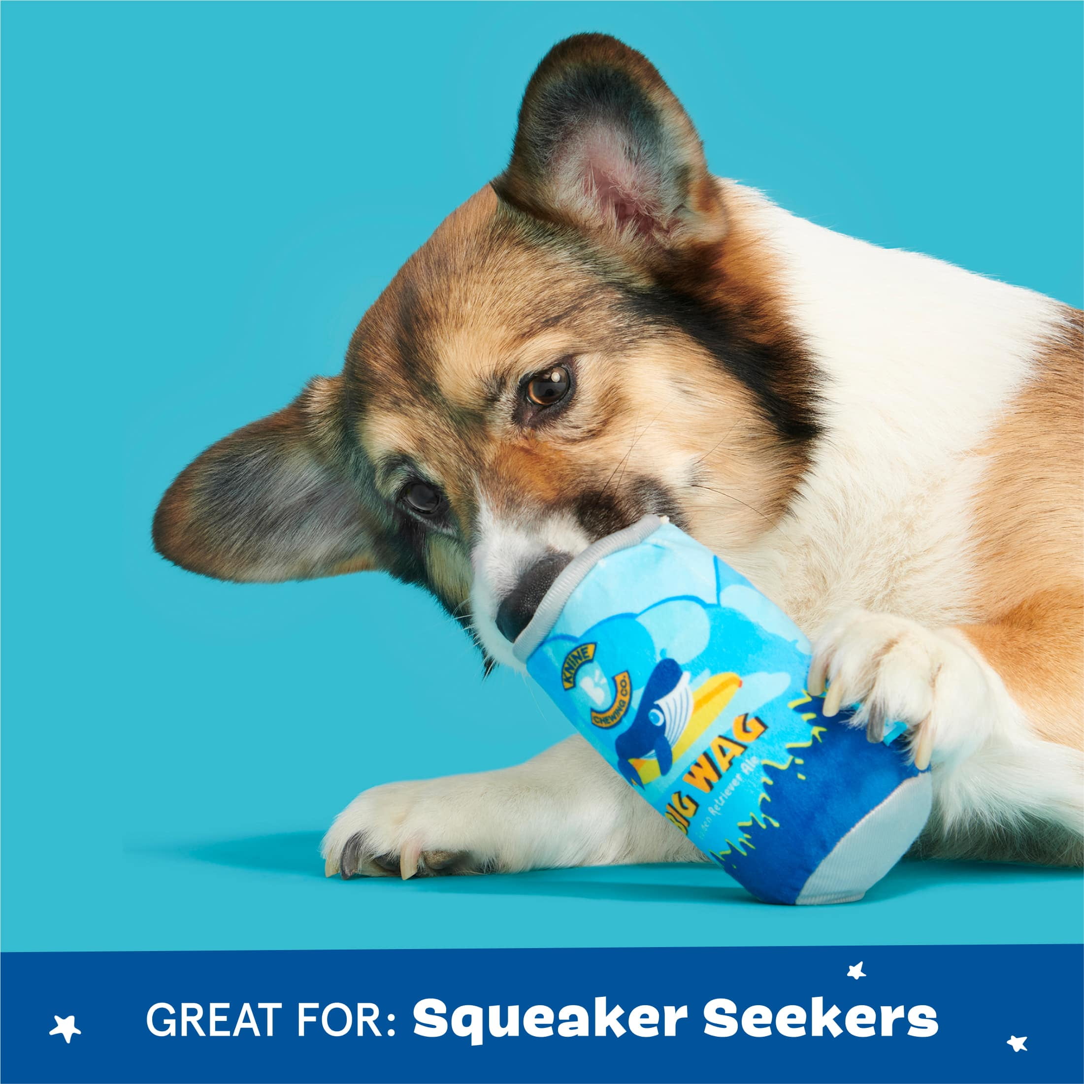 BARK Surf Beer Can Plush Blue, Yellow, and Silver Dog Toy All Sizes