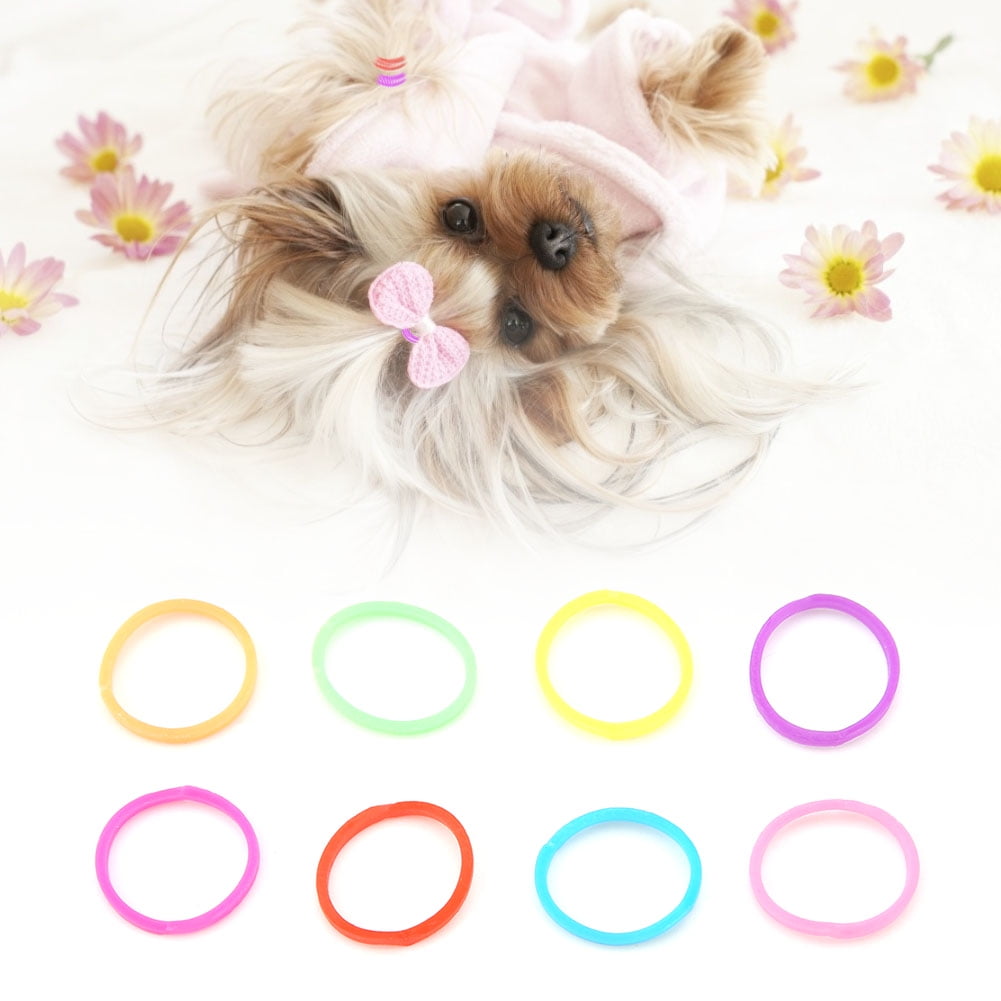Dog Hair Bands Pet Rubber Bands 100pcs Per Bag Comfortable High Elasticity For Grooming Your Pet Pet Dog And Cat Walmart