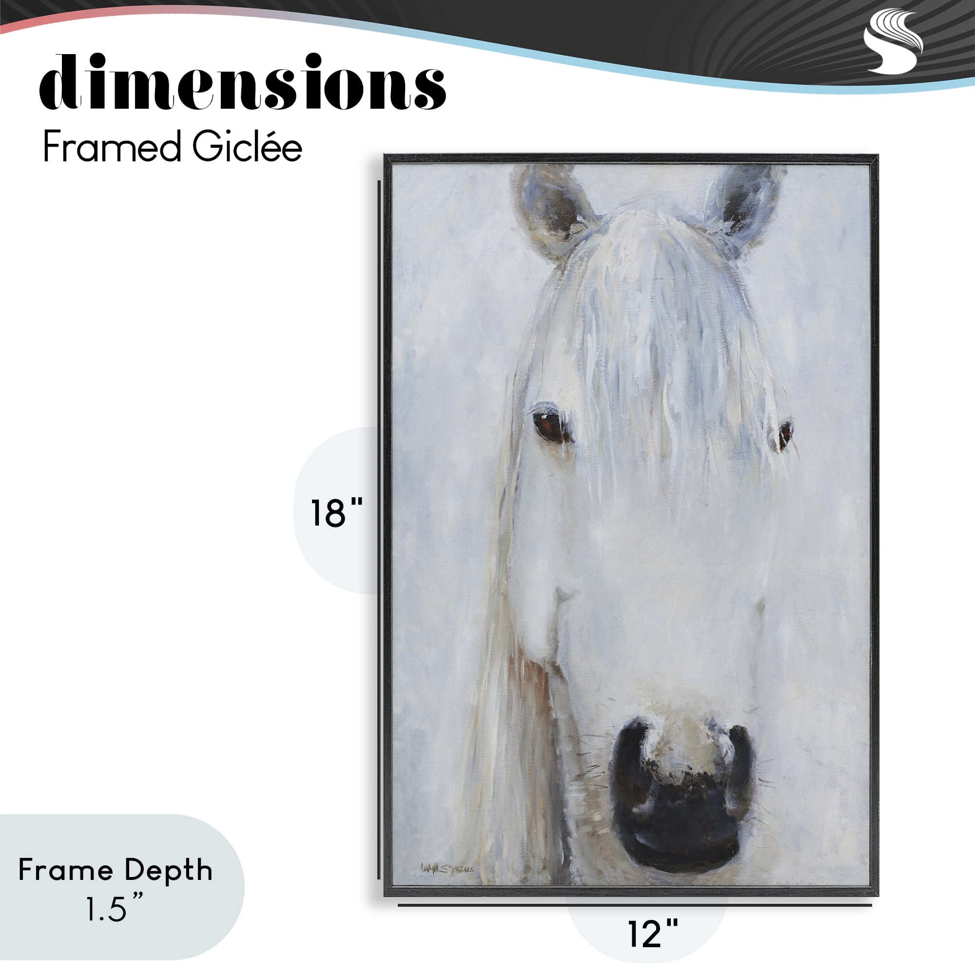 Stupell Industries Pure White Horse Portrait Black Framed Giclee Art, design by Jadei Graphics