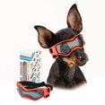 thumbnail image 1 of Gafas para Perro PETLESO para Razas Pequeñas con Protección UV, 1 of 6