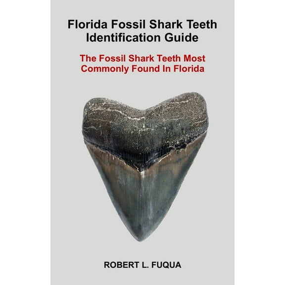 Florida Fossil Shark Teeth Identification Guide: The Fossil Shark Teeth Most Commonly Found In Florida, (Paperback)