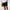 Navy, variant on Mens Shorts Clearance under $10,Mens Casual Solid Pocket Elastic Waist Straight Half Shorts Sport Pants