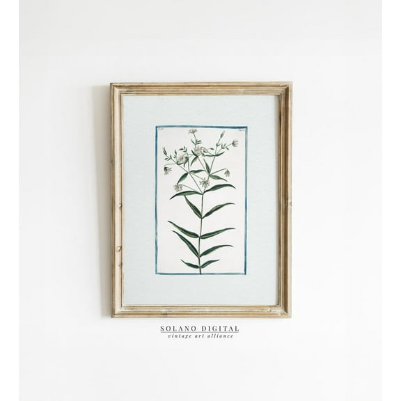 Floral Art Print Nancy Meyers Inspired Grandmillenial Botanical Print For Home Styling Mat Green Wall Art, Modern Wall Decor, 8x12 UNFRAMED