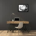 thumbnail image 4 of Van Swearingen, Debra 24x18 Black Modern Framed Museum Art Print Titled - Translucent Tulips VI, 4 of 5