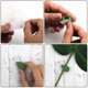 thumbnail image 4 of 30pcs Plant Climbing Wall Fixture Clips Self-adhesive Plant Wall Fixer Clip Invisible Leaf Shaped Vines Holder, 4 of 5