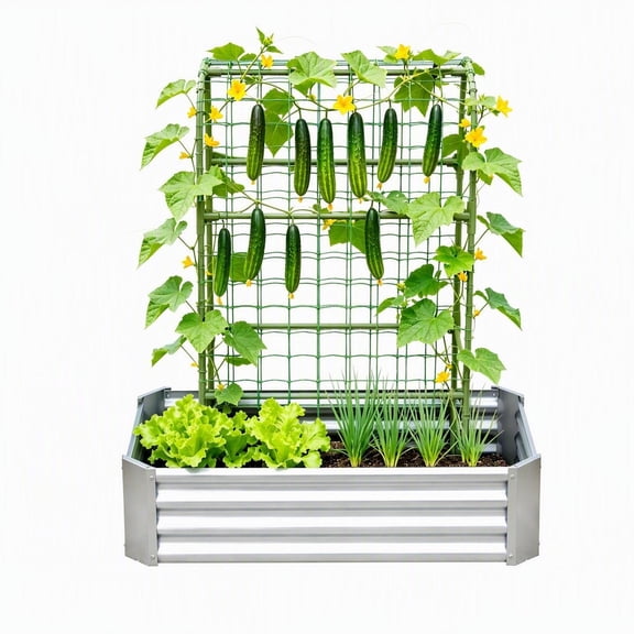 2-in-1 Galvanized Raised Garden Bed with 59-Inch Arch Trellis for Climbing Vegetables and Flowers, Open-Bottom