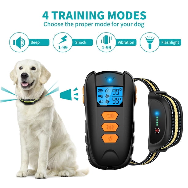 Collar de Entrenamiento Colco Electrónico a Prueba de Agua Naranja