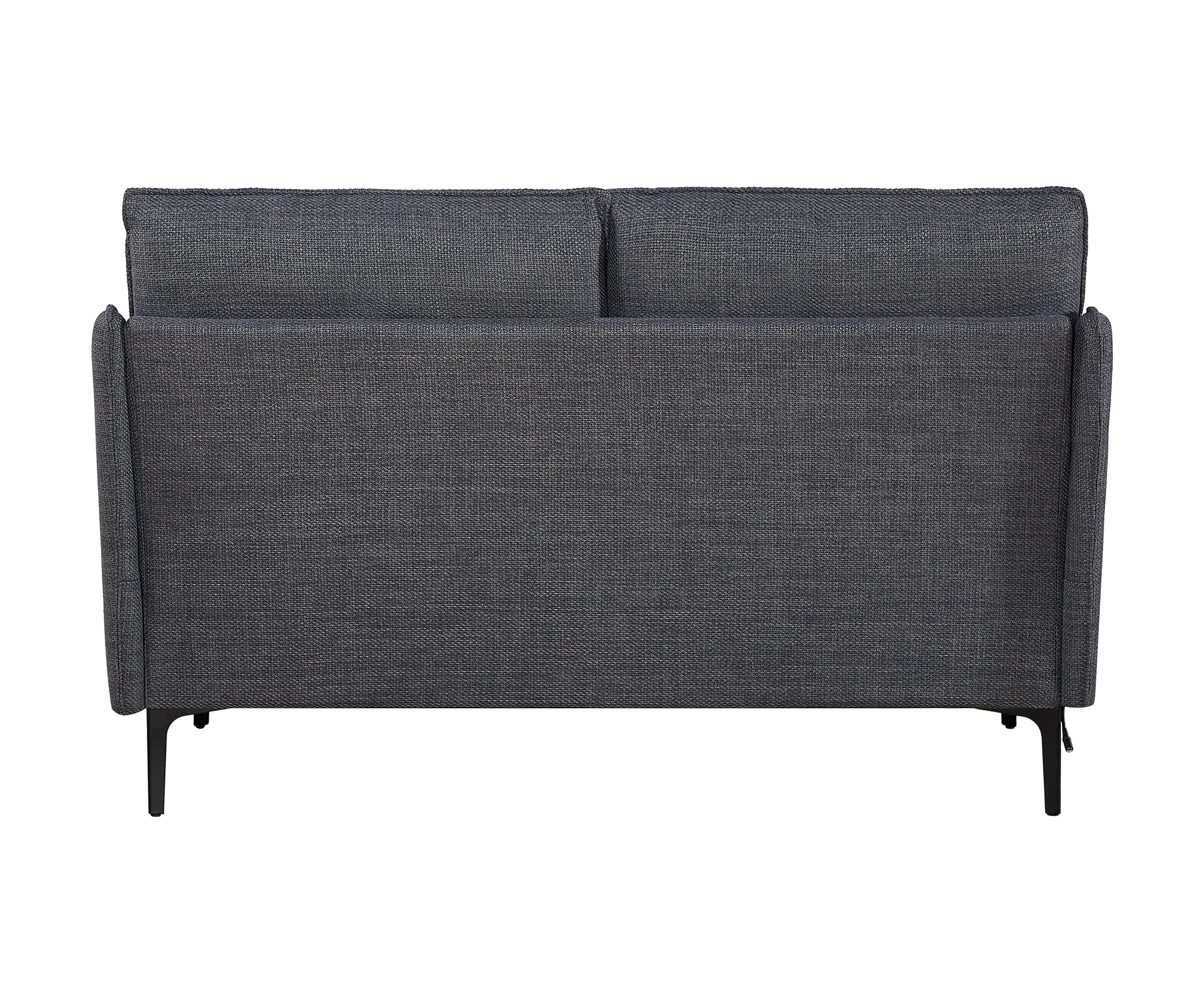 MAYEERTY 2 Seater Sofa For Primary Living Space , Bed Room, 2 Pillows,Gray