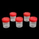 thumbnail image 3 of 5x Frascos Estériles Shamjiam de 40ML para muestras, 3 of 7