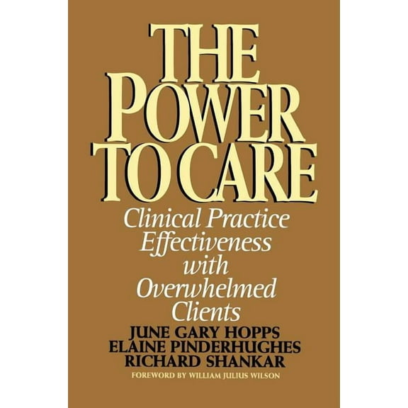 Power to Care : Clinical Practice Effectiveness With Overwhelmed Clients (Paperback)