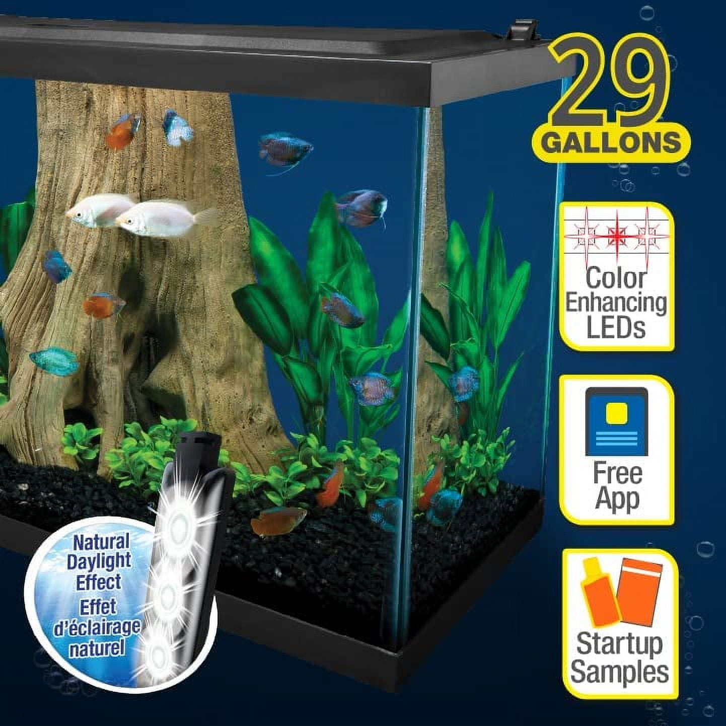 Aquarium 10L bords arrondis 20x20x25 cm cuve nue aquarium thermoformé