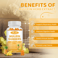 thumbnail image 3 of (2 Pack) Mullein Gummies for Lung Cleanse, Chewable Mullein Supplement Support Respiratory, Mullein Gummies with Quercetin & Bromelain for Lung, Digestive Health & Immune, Vegan, 120 Ct, 3 of 8