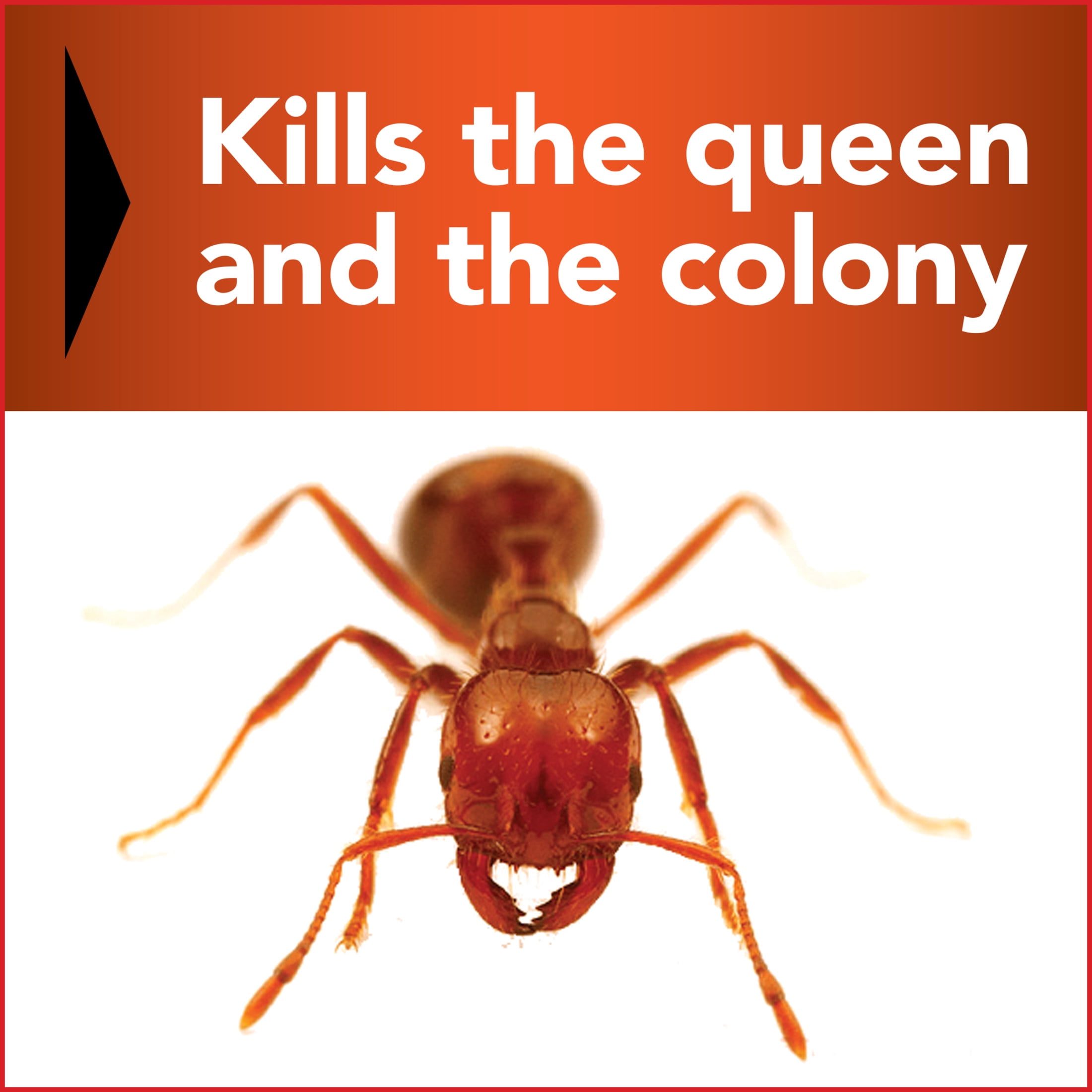 (2 pack) Eliminator Fire Ant Killer with Acephate, Powder, 12 oz. Bottle