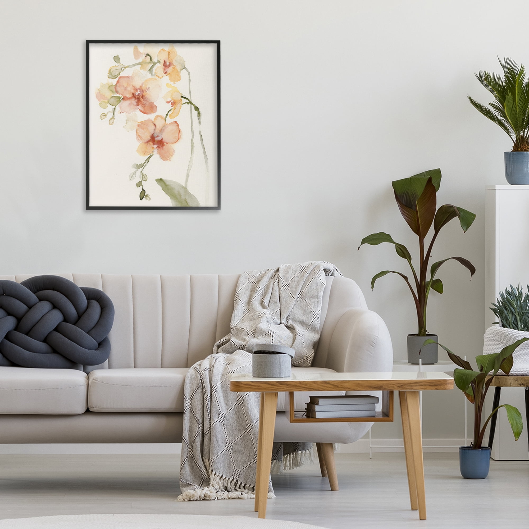 Stupell Industries Peach Orchid in Bloom Black Framed Giclee Art, design by Victoria Barnes