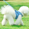 thumbnail image 3 of Puppy Cat Harnesses Vest Reflective Walking Lead Leash, 3 of 6