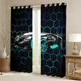 thumbnail image 2 of Manfei Extreme Sports Game Black Out Curtains,Speed Race Car Curtains Pack of 2 (42x63 Each),Blue Hockeycomb Hexagon Bedroom Curtains For Boys Kids,Microfiber Bedroom Decor, 2 of 6