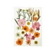 thumbnail image 4 of Calcomanía de flores secas Billuyoard Type2 NO2, 4 of 6