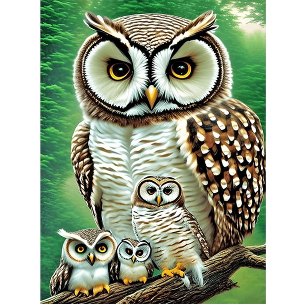 Cuadros Decorativos 5D bricolaje ronda completa taladro diamante pintura búho Kit arte decoración del hogar (B6082) DQrwqpou Nuevos Originales