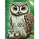 thumbnail image 1 of Cuadros Decorativos 5D bricolaje ronda completa taladro diamante pintura búho Kit arte decoración del hogar (B6082) DQrwqpou Nuevos Originales, 1 of 9