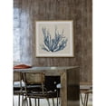 thumbnail image 6 of Marmont Hill Coastal Seaweed I Framed Wall Art, 6 of 6