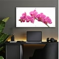thumbnail image 5 of Epic Art 'Pink Orchid on White 01' by Tom Quartermaine, Acrylic Glass Wall Art, 48"x24", 5 of 8