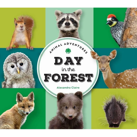 Animal Adventures Animal Adventures: Day in the Forest, (Board Book)