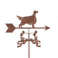 thumbnail image 1 of EZ Vane EZ1419-RF pour Chien Girouette avec Support de Toit, 1 of 1