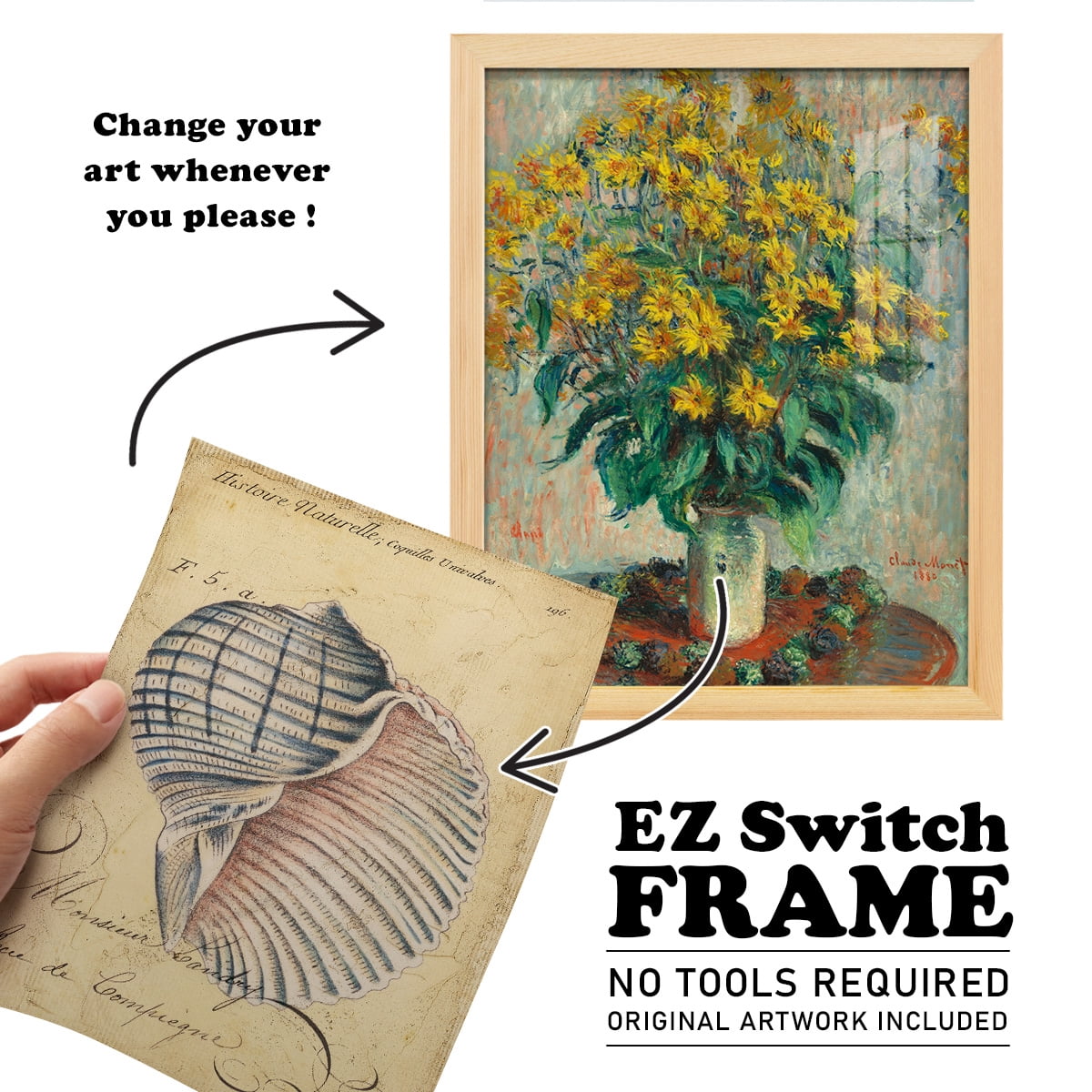 Seashell Ephemera V - Framed Print w/glass - Natural Wood