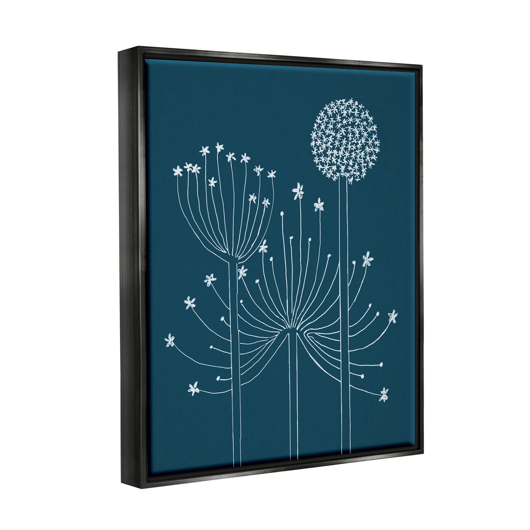 Stupell Industries Varied Dandelion Wild Plant Petals Graphic Art Jet Black Floating Framed Canvas Print Wall Art, Design by Alicia Longley