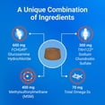 thumbnail image 5 of Nutramax Cosequin for Dogs Joint Health Supplement, Contains Glucosamine for Dogs, Plus Chondroitin, MSM and Omega-3s, Joint and Skin and Coat Health, For All Breeds and Sizes, Soft Chews, 60 Ct., 5 of 9