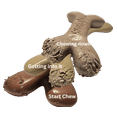 thumbnail image 4 of Augie Bones Mighty 2-Pack Nylon Free, Tough Chew Toys for Dogs, Plant Based, Sustainable,, 4 of 8