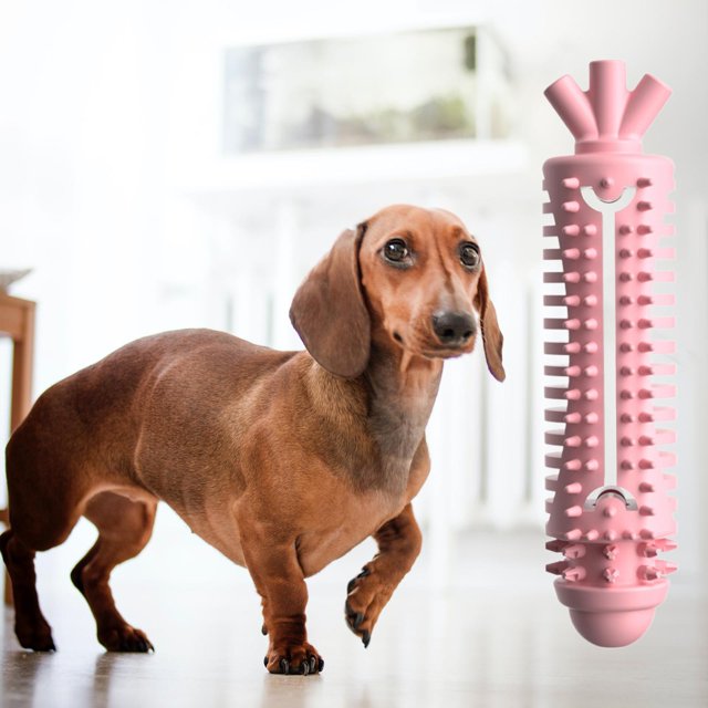Juguetes duraderos para masticar perros Salvador Rosado Juguetes para masticar mascotas