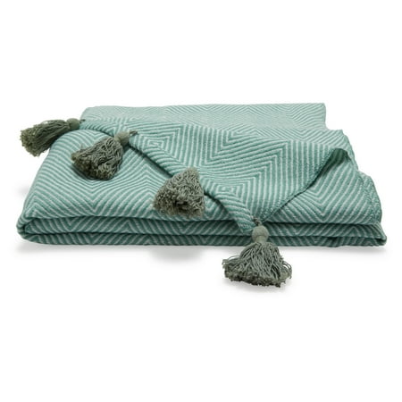 Chevron Pom Decorative Throw by Drew Barrymore Flower Home